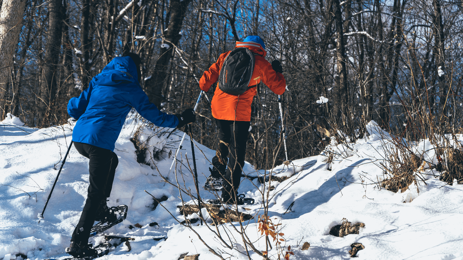 comment choisir raquette à neige (1)