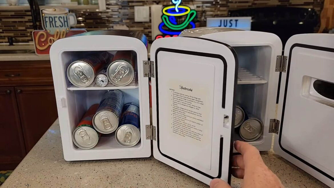 meilleur mini réfrigérateur