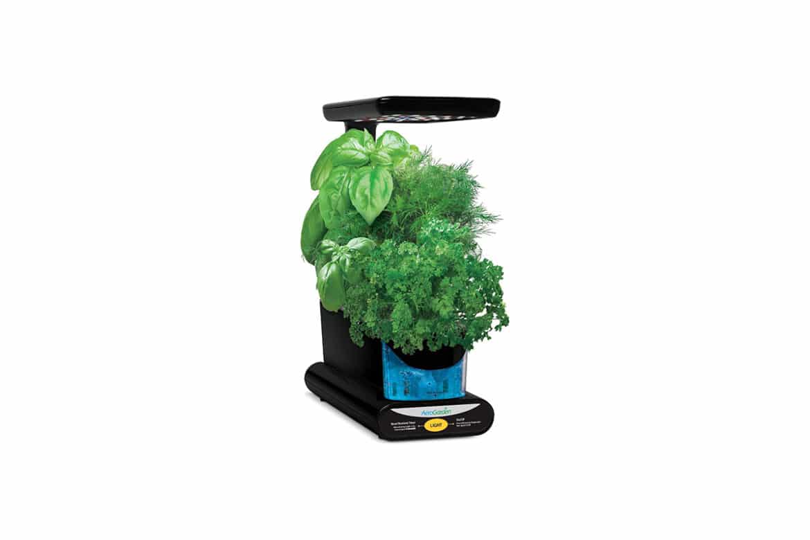 AeroGarden Sprout