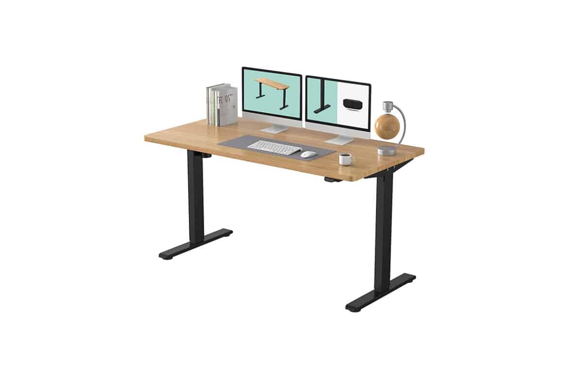 Flexispot EC1