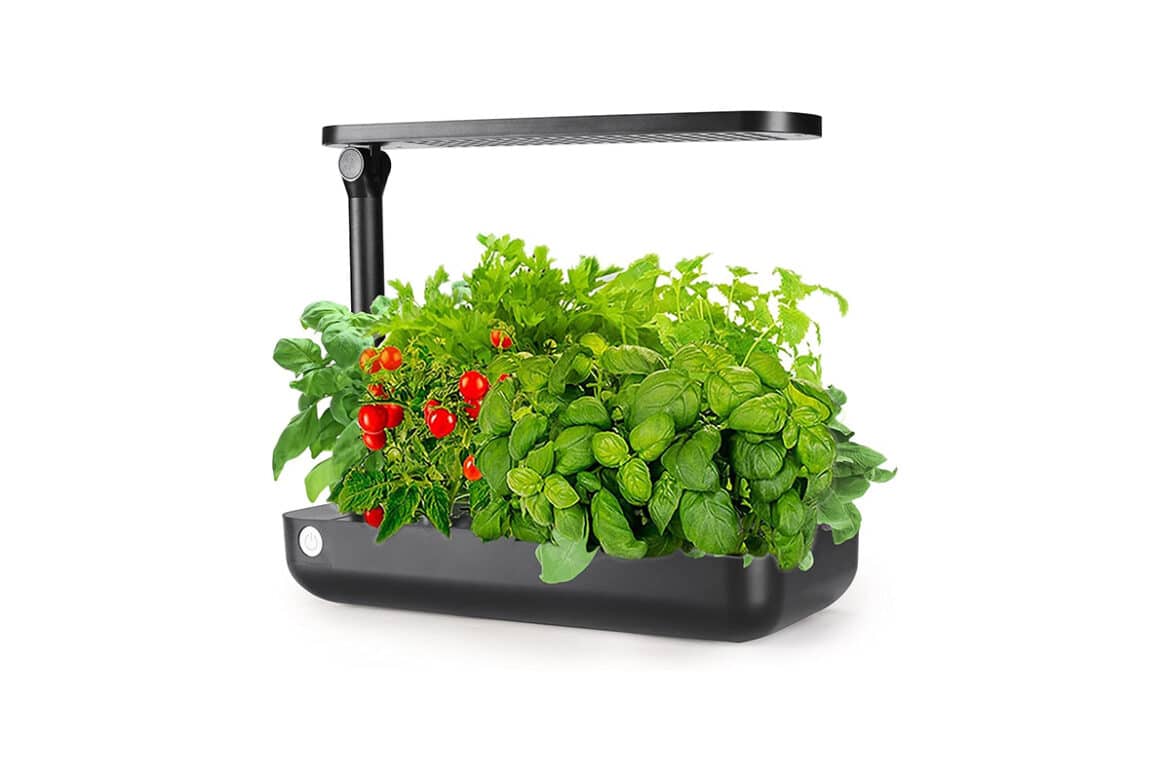 VegeBox 12 pods