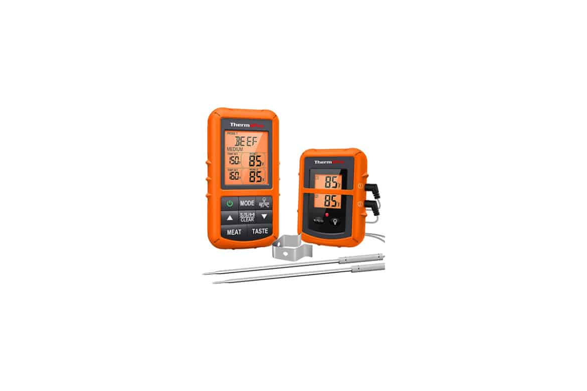 ThermoPro TP20