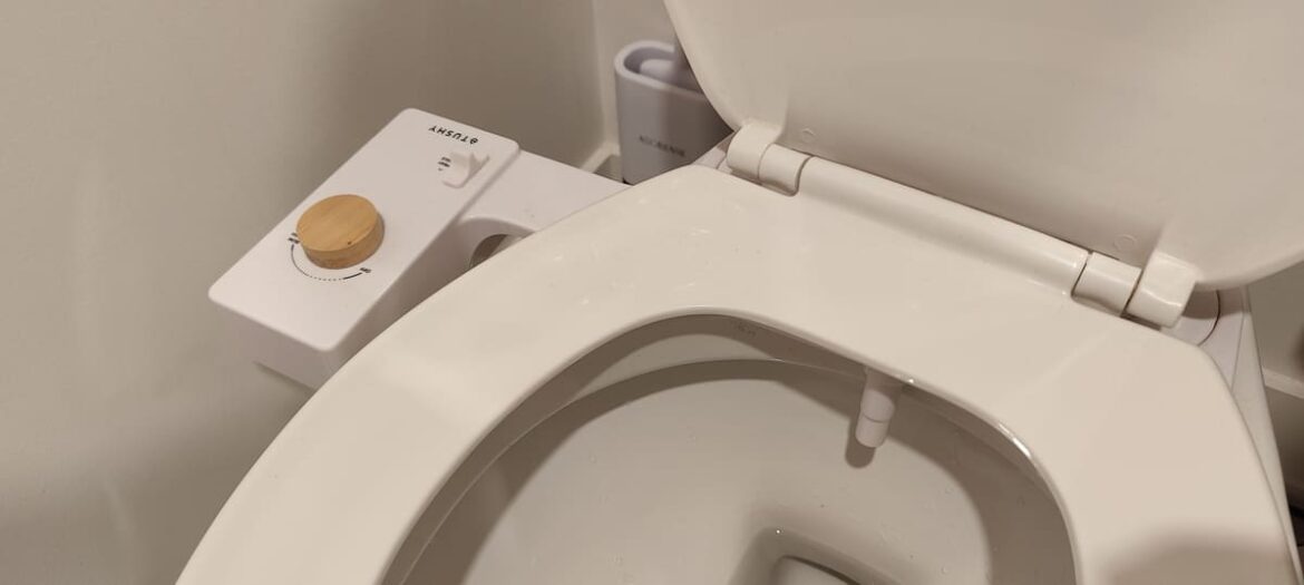 bidet tushy (2)
