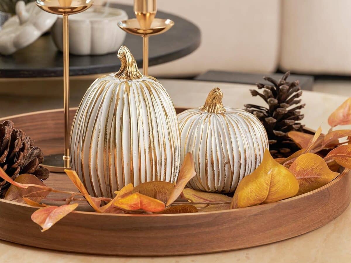 citrouilles automne
