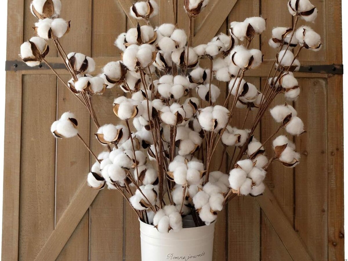 fleurs de coton automne