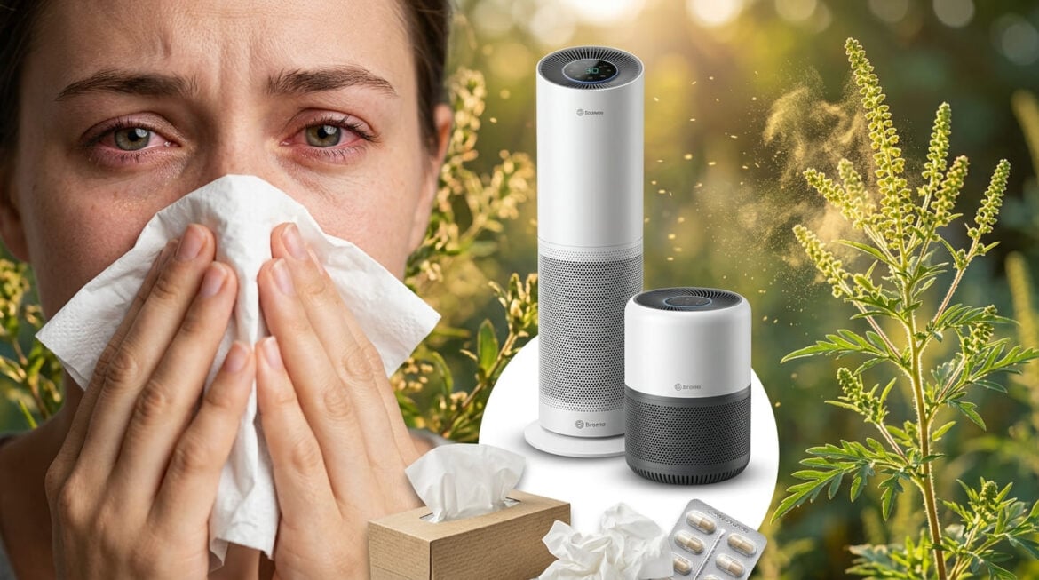 allergies quebec septembre